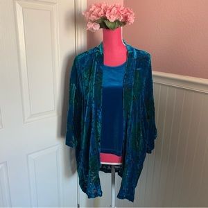 Draper’s & Damon’s 3-piece Velvet Set, Burnout Chiffon Overlay, size M